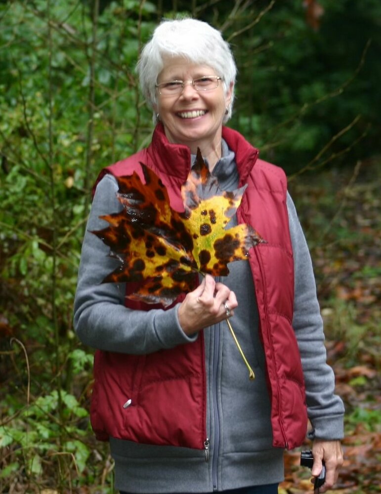 Jan Dickson (Blackett)